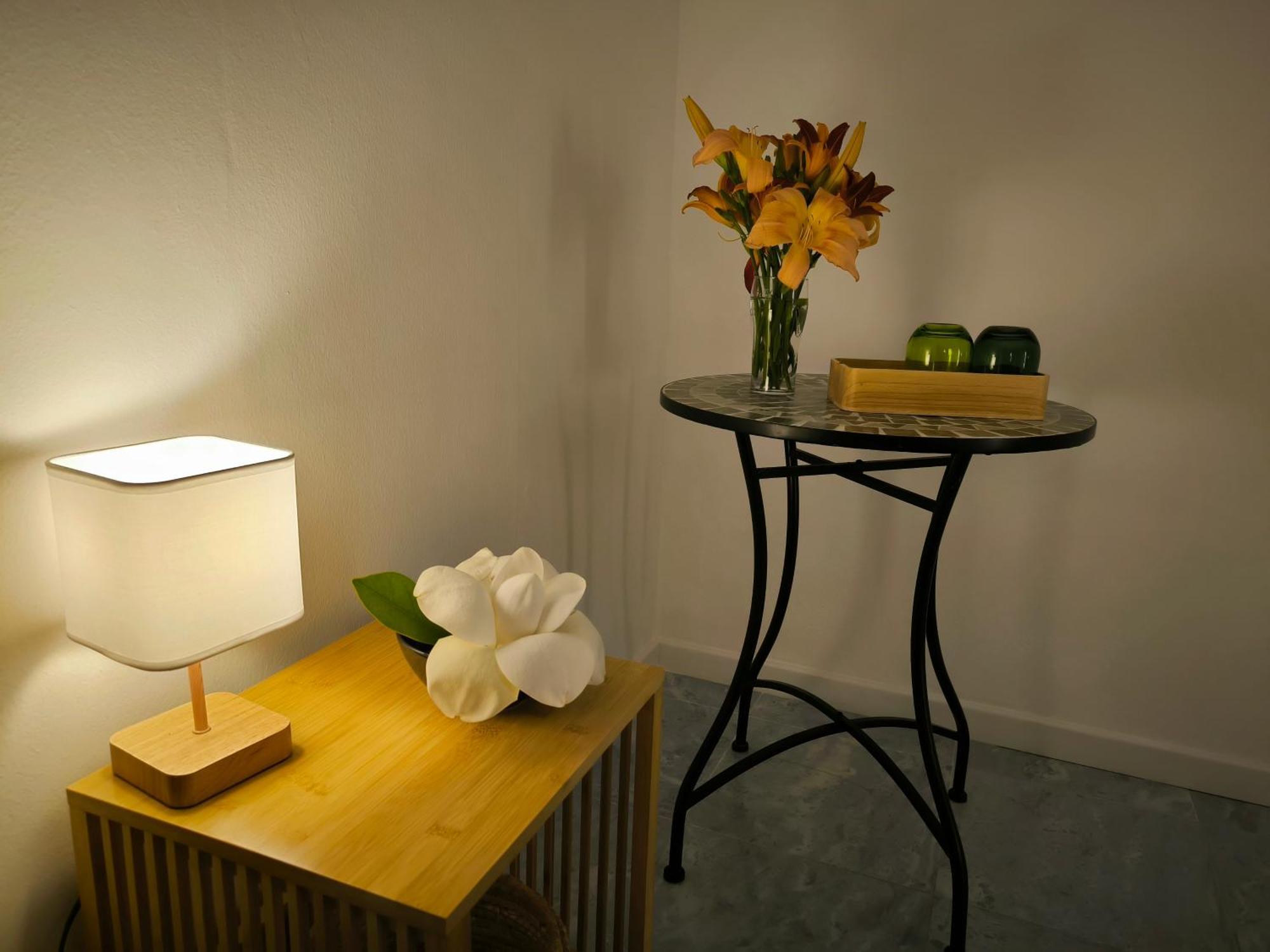 Versilia - Pietrasanta - Le Colmate Guesthouse Tonfano Kültér fotó