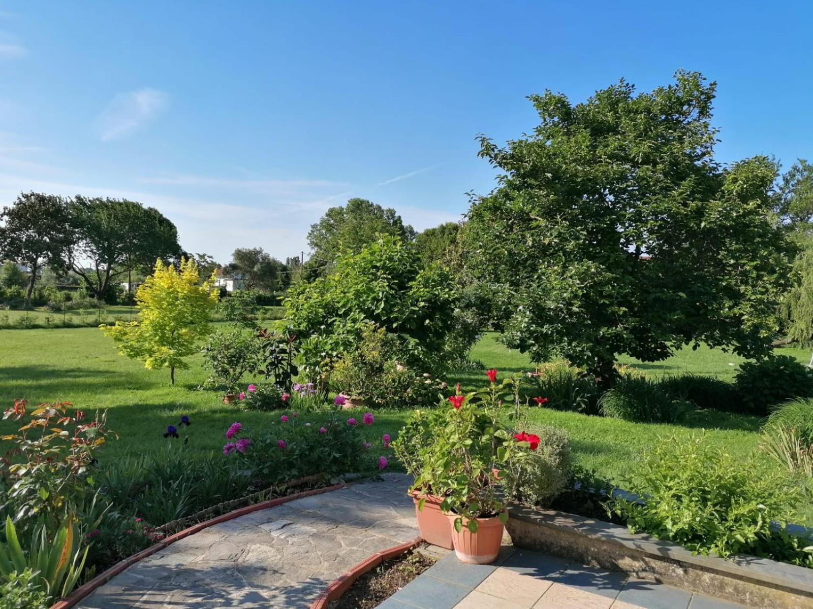 Versilia - Pietrasanta - Le Colmate Guesthouse Tonfano Kültér fotó