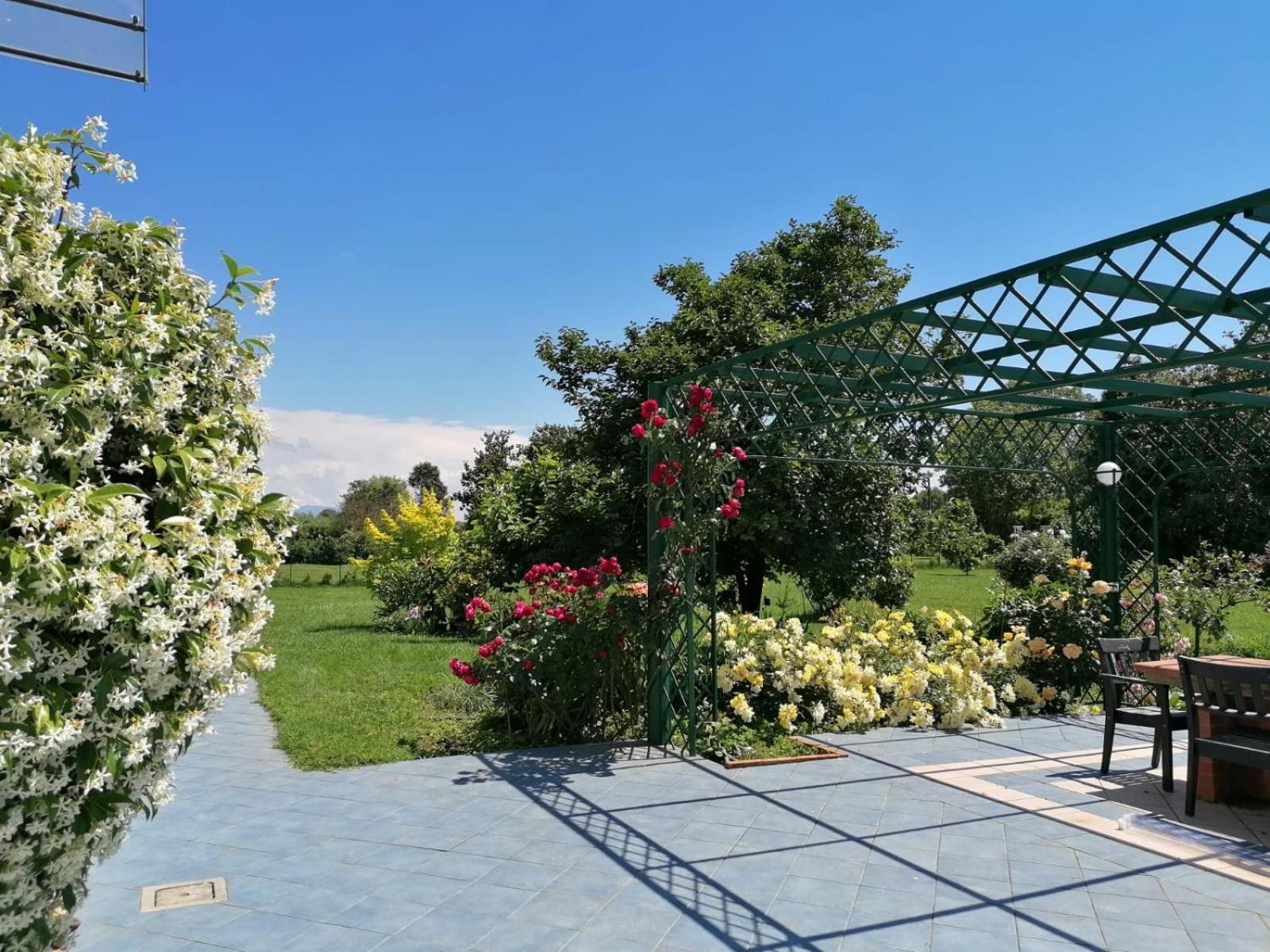 Versilia - Pietrasanta - Le Colmate Guesthouse Tonfano Kültér fotó