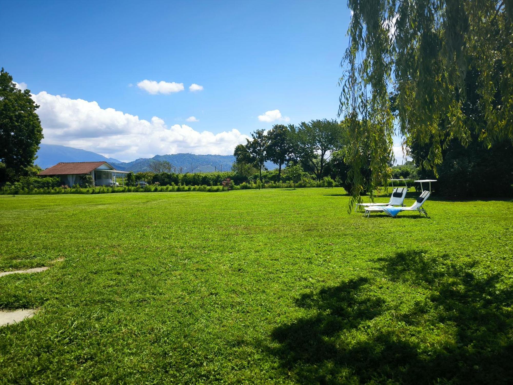 Versilia - Pietrasanta - Le Colmate Guesthouse Tonfano Kültér fotó