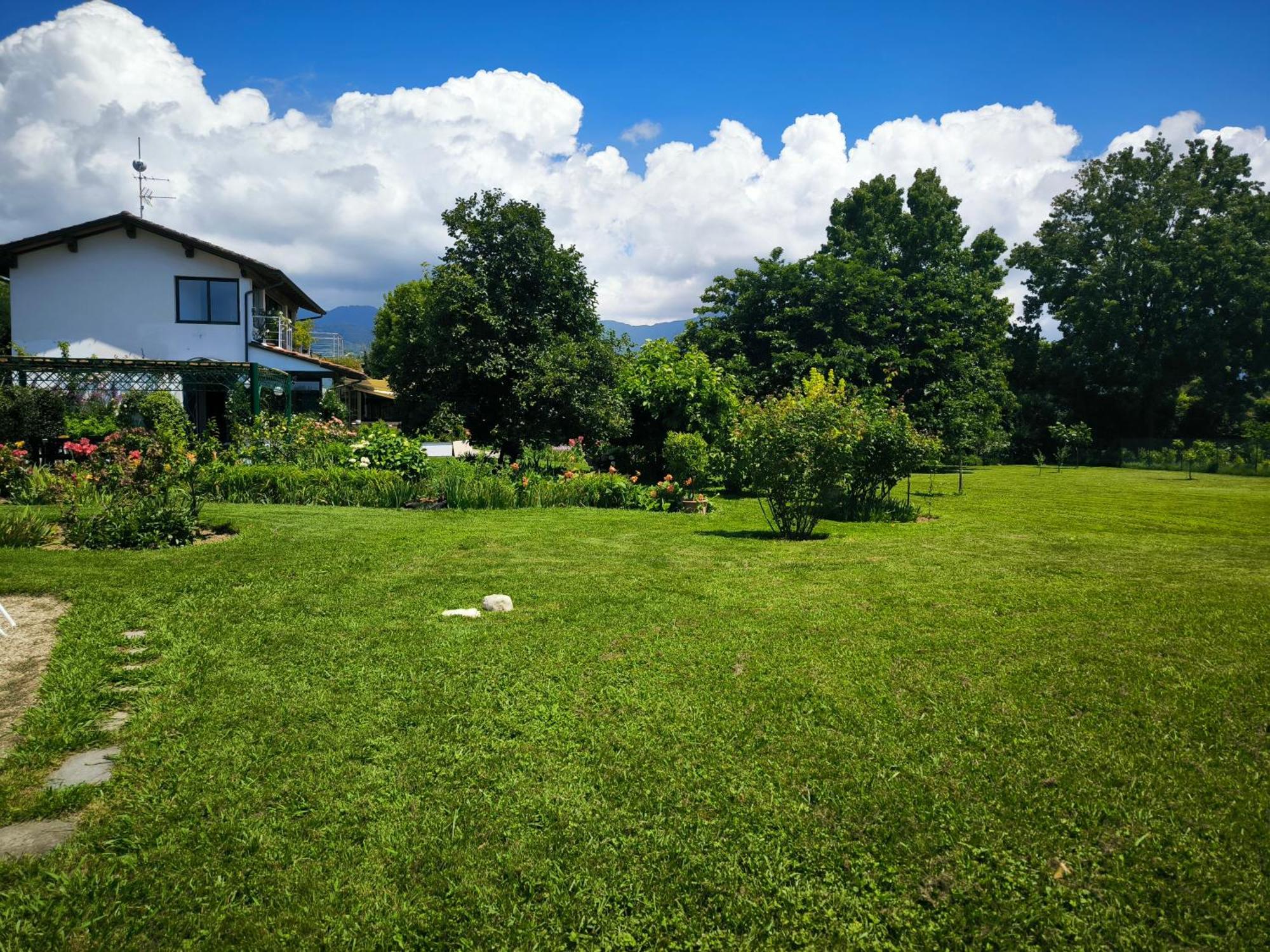 Versilia - Pietrasanta - Le Colmate Guesthouse Tonfano Kültér fotó