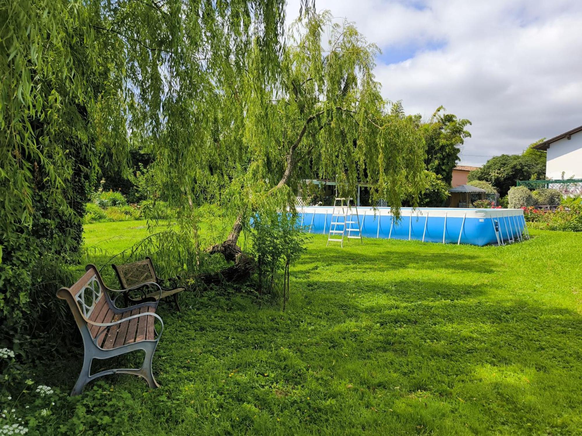 Versilia - Pietrasanta - Le Colmate Guesthouse Tonfano Kültér fotó