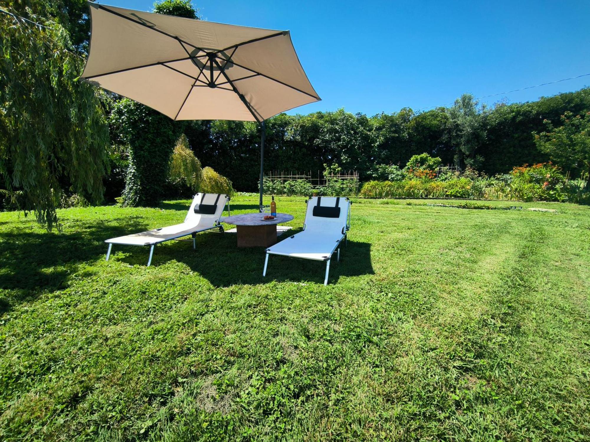 Versilia - Pietrasanta - Le Colmate Guesthouse Tonfano Kültér fotó