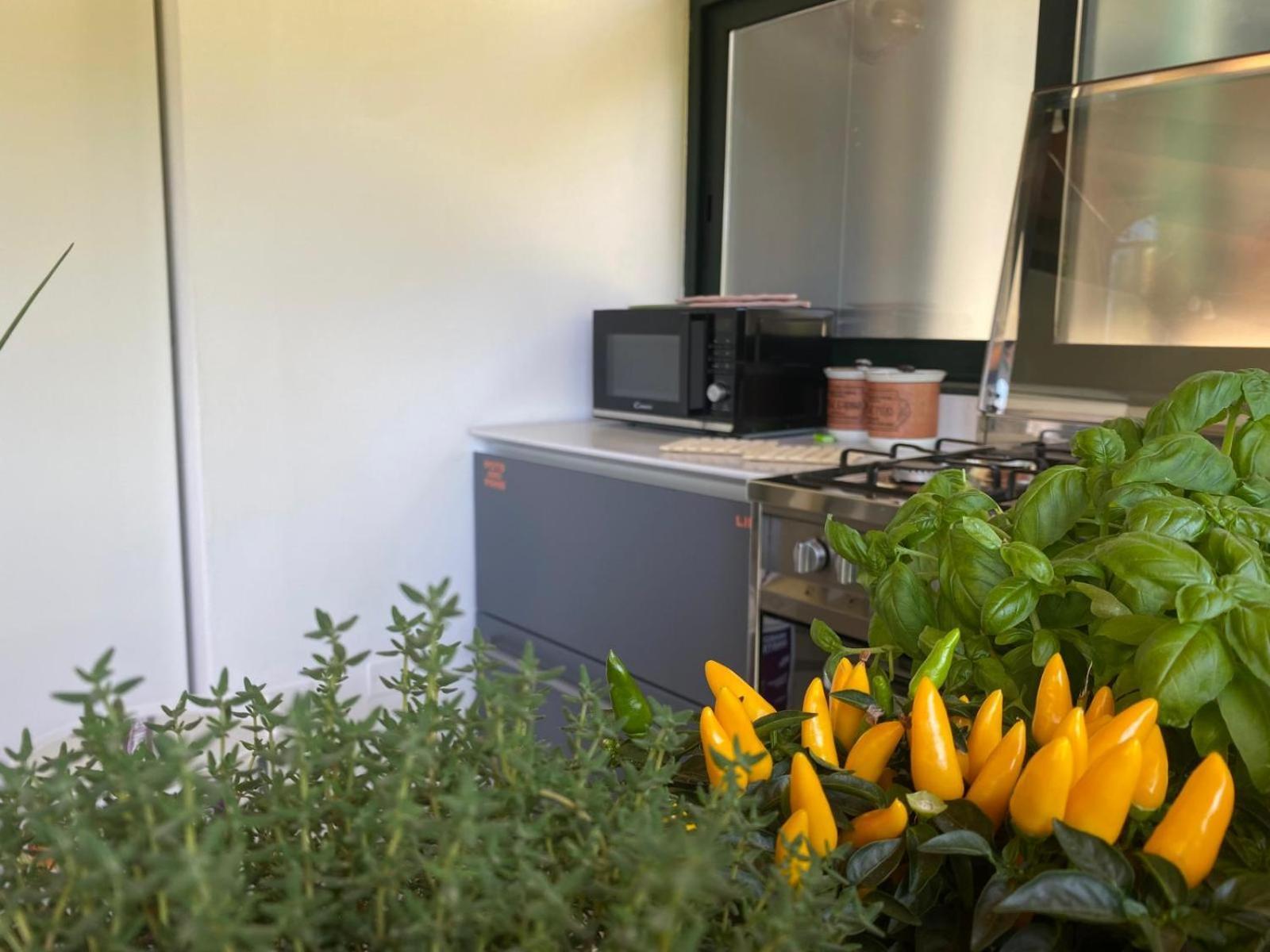 Versilia - Pietrasanta - Le Colmate Guesthouse Tonfano Kültér fotó